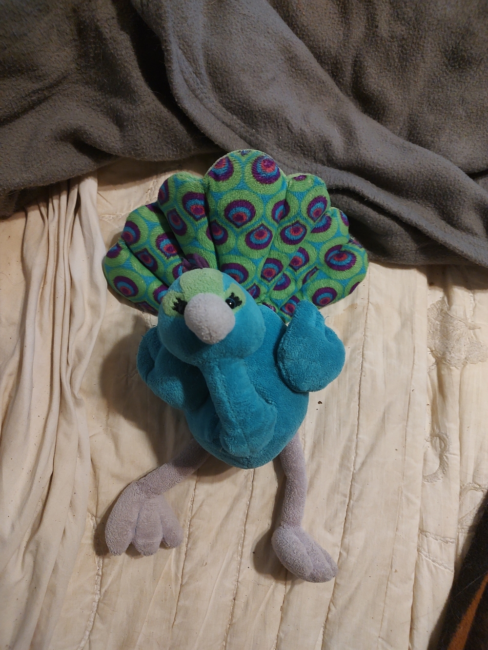 Pretty Peacock Webkinz